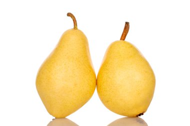 Two ripe organic yellow pears, close-up, isolated on white.