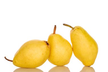 Three ripe yellow pears, close-up, isolated on white.