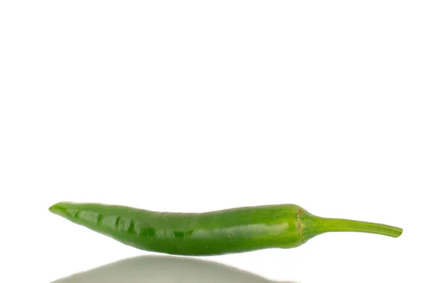 One Green Spicy Pepper Macro Isolated White Background — Fotografia de Stock