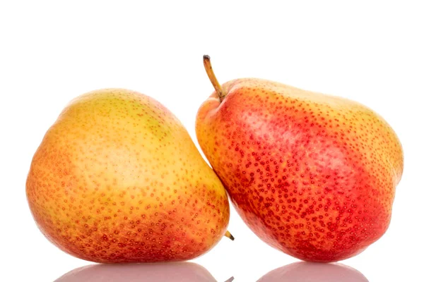 Stock image Two yellow-red pears, close-up, on a white background.