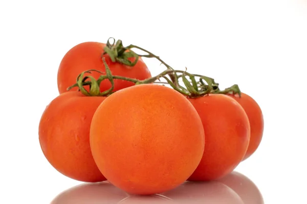 Vários Tomates Frescos Ramo Macro Isolado Fundo Branco — Fotografia de Stock