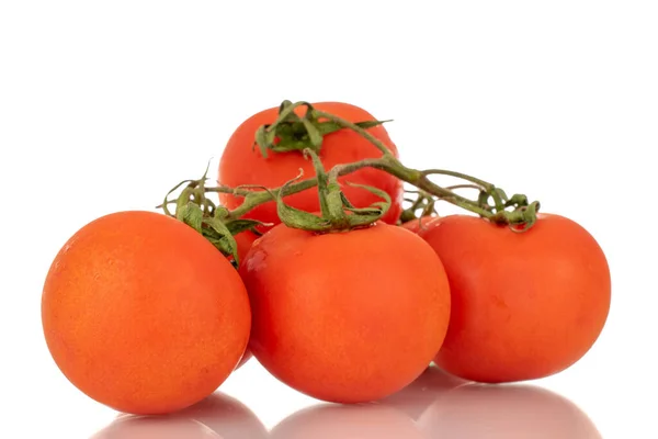 Kilka Świeżych Pomidorów Gałęzi Makro Izolowanych Białym Tle — Zdjęcie stockowe