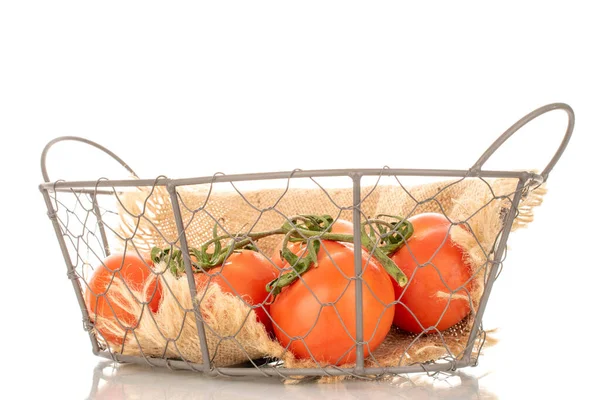 Several Fresh Tomatoes Branch Basket Macro Isolated White Background — Stock Photo, Image
