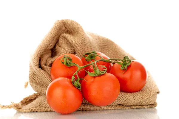 Kilka Świeżych Pomidorów Gałązce Jałowym Worku Makro Izolowane Białym Tle — Zdjęcie stockowe