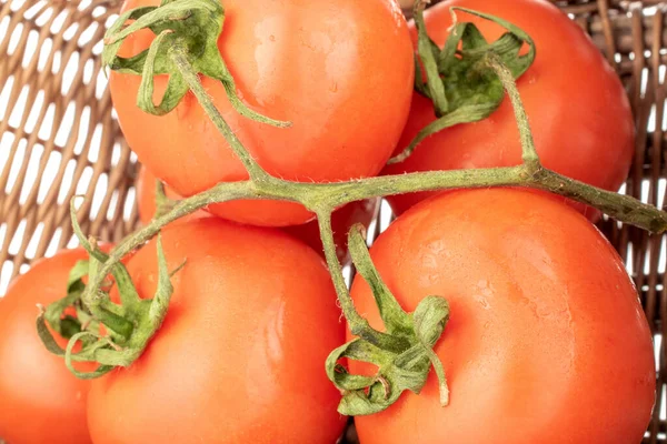 Kilka Świeżych Pomidorów Gałęzi Koszyku Makro Izolowanych Białym Tle — Zdjęcie stockowe