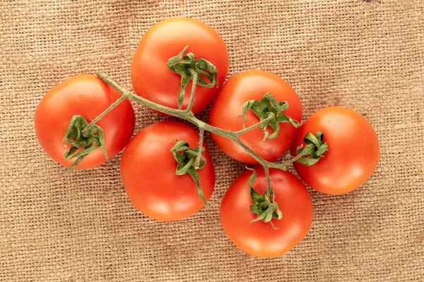 Vários Tomates Maduros Ramo Tecido Juta Macro Visão Superior — Fotografia de Stock