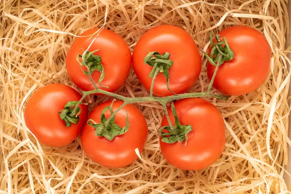 조각에 토마토 매크로 보이는 — 스톡 사진