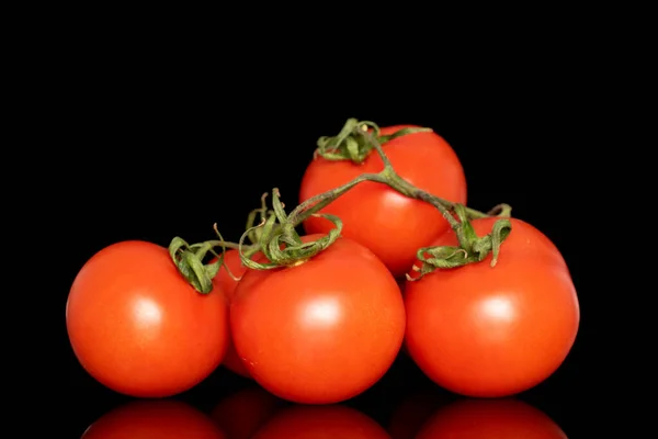 Several Fresh Tomatoes Branch Macro Isolated Black Background — Stock Photo, Image