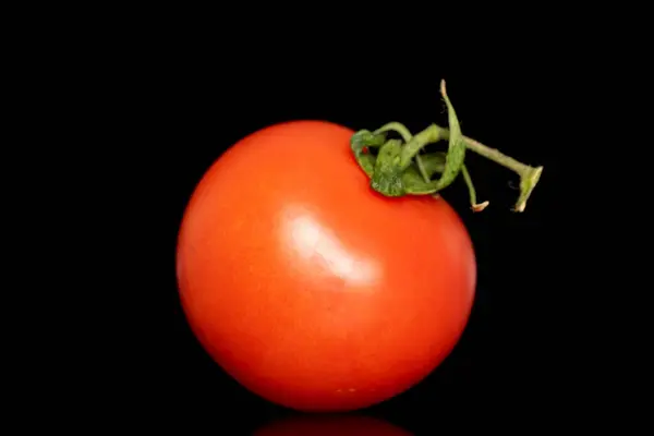 Jeden Dojrzały Pomidor Makro Izolowany Czarnym Tle — Zdjęcie stockowe
