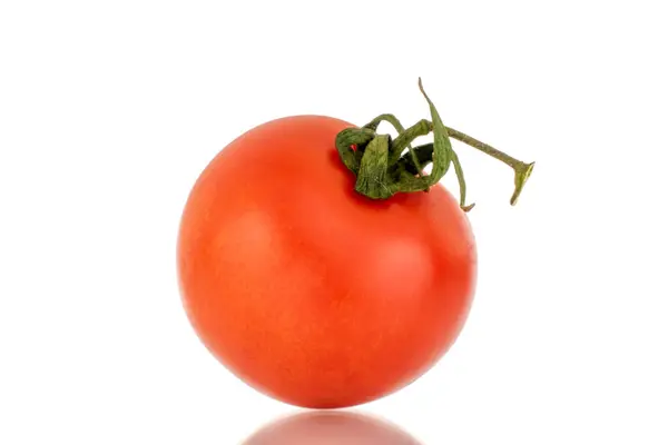 Satu Tomat Matang Makro Terisolasi Pada Latar Belakang Putih — Stok Foto