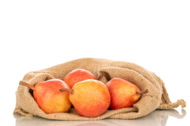 Birkaç organik Bartlett armudu, jüt çantalı, makro, beyaz arka planda izole edilmiş..