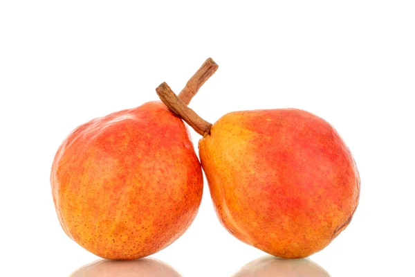 Two Organic Bartlett Pears Macro Isolated White Background — Stock Photo, Image