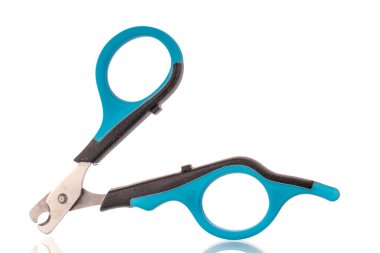 Pençeleri budamak için bir makas, yakın plan, beyaz arka plan izole edilmiş..