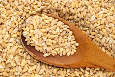 İnci ahşap bir kaşık, makro, üst manzara.