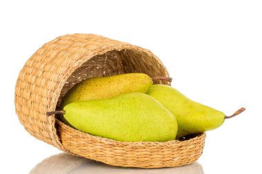 Saman sepetli üç tatlı armut, makro, beyaz arka planda izole edilmiş..