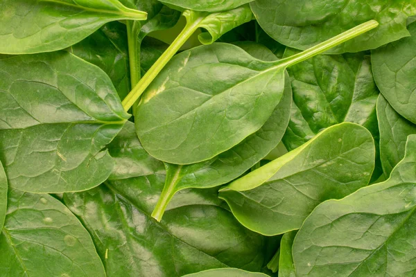 Fresh Green Spinach Leaves Macro Top View — Stock Photo, Image