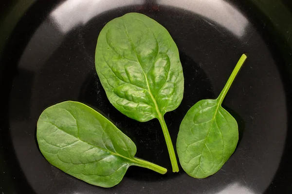 Fresh Green Spinach Leaves Black Ceramic Plate Macro Top View — Stock Photo, Image