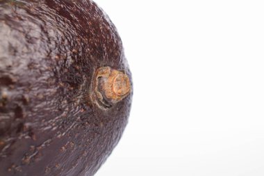 Bir olgun avokado, makro, beyaz arka planda izole edilmiş..