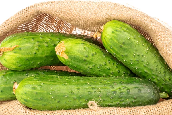 Several Ripe Green Cucumbers Jute Bag Macro Isolated White Background — Stock Photo, Image