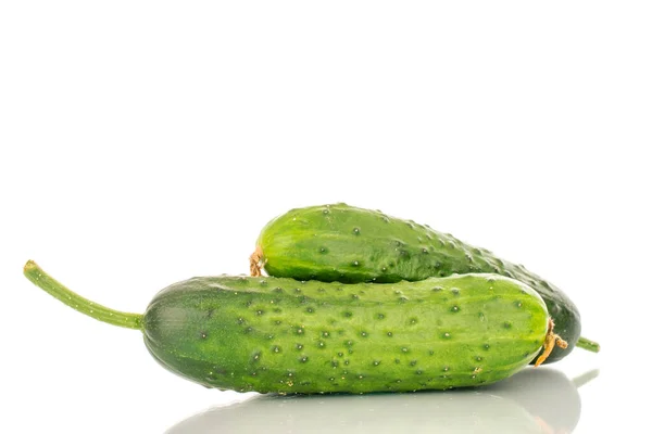 Two Ripe Green Cucumbers Macro Isolated White Background — Stock Photo, Image