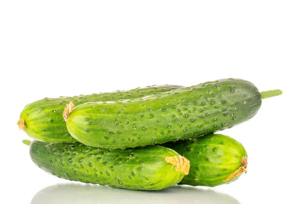 Vier Rijpe Groene Komkommers Macro Geïsoleerd Witte Achtergrond — Stockfoto