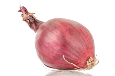 Bir mavi ampul, makro, beyaz arkaplanda izole edilmiş..