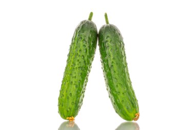 İki olgun yeşil salatalık, makro, beyaz arka planda izole edilmiş..