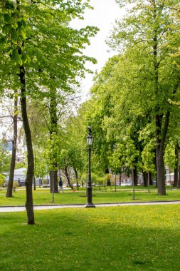 Mayıs ayında, Kyiv parkında..