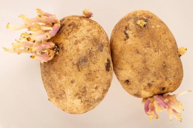 Beyaz seramik tabakta lahanalı iki patates, makro, üst manzara..