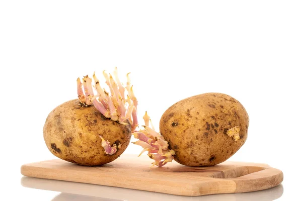 Duas Batatas Com Brotos Uma Placa Madeira Cozinha Macro Isolado — Fotografia de Stock