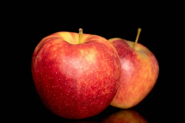 黒の背景に隔離された2つの熟した赤いリンゴ マクロ ストックフォト