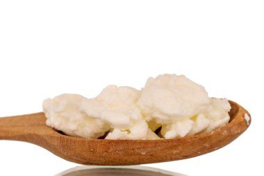 Tahta kaşıkta taze süzme peynir, makro, beyaz arka planda izole edilmiş..