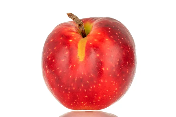 1つの赤いリンゴマクロ白い背景に隔離された — ストック写真