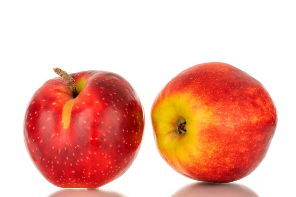 Två Röda Äpplen Makro Isolerad Vit Bakgrund — Stockfoto