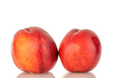 İki tatlı nektarin, makro, beyaz arka planda izole edilmiş..