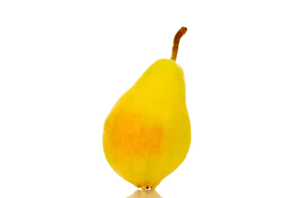 One Bright Yellow Pear Macro Isolated White Background — Stock Photo, Image