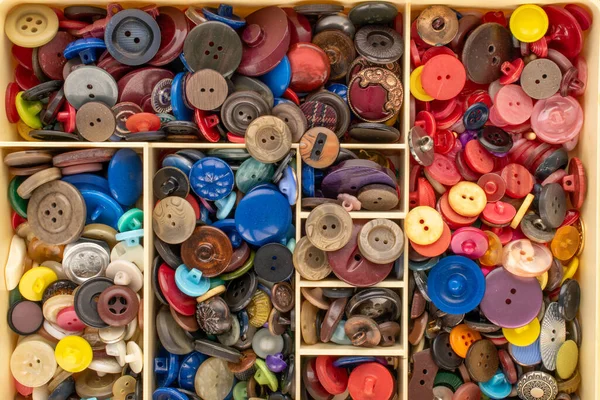 Πολλά Κουμπιά Ένα Πλαστικό Δοχείο Μακροεντολή Πάνω Όψη — Φωτογραφία Αρχείου