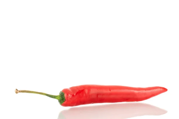 Eine Schote Scharfer Roter Paprika Makro Isoliert Auf Weißem Hintergrund — Stockfoto