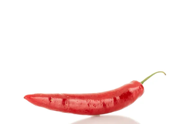 Jeden Lusk Horké Červené Papriky Makro Izolované Bílém Pozadí — Stock fotografie