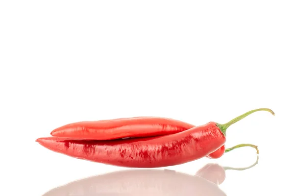 Два Стручки Гарячого Червоного Перцю Макро Ізольовані Білому Тлі — стокове фото