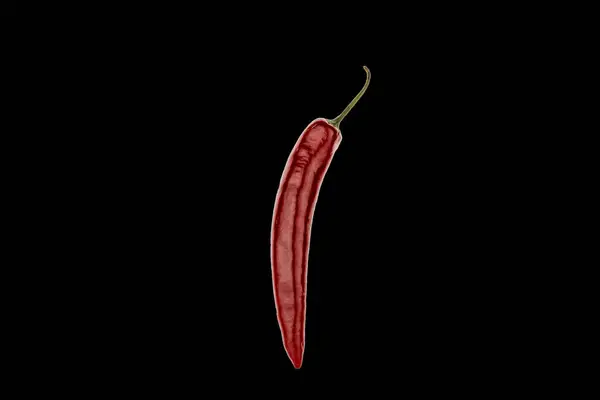 One Pod Hot Red Pepper Macro Isolated Black Background — Stock Photo, Image