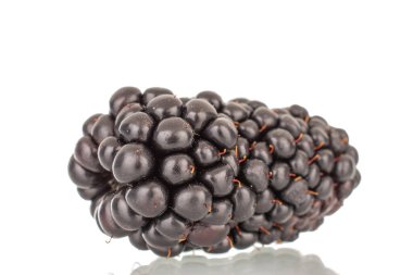 Bir organik böğürtlen, makro, beyaz arka planda izole edilmiş..