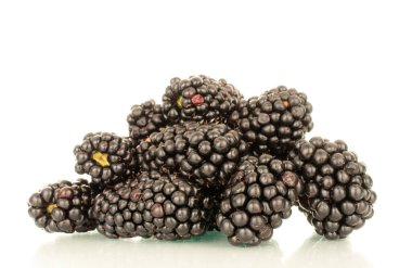 Beyaz arka planda izole edilmiş olgun böğürtlen, makro..