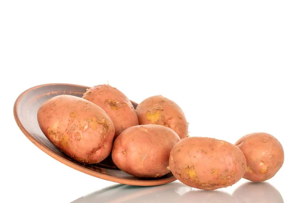 Mehrere Organische Rosa Rohe Kartoffeln Auf Einem Tonteller Makro Isoliert — Stockfoto