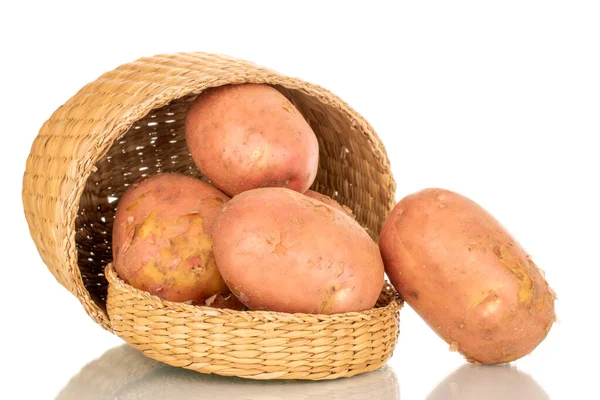 Kilka Organicznych Różowych Surowych Ziemniaków Słomkowym Koszem Makro Izolowanych Białym — Zdjęcie stockowe