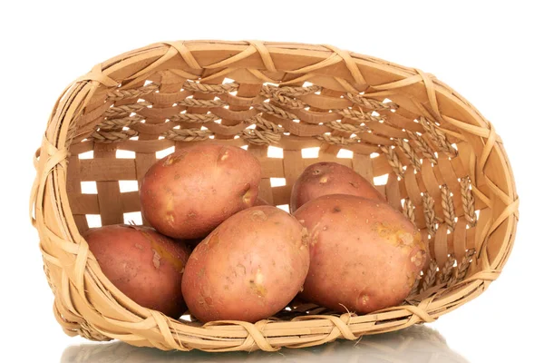 Varios Rosa Orgánico Patatas Crudas Con Cesta Macro Aislado Sobre —  Fotos de Stock