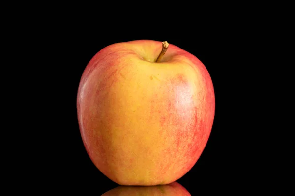 Ein Roter Bio Apfel Makro Isoliert Auf Schwarzem Hintergrund — Stockfoto