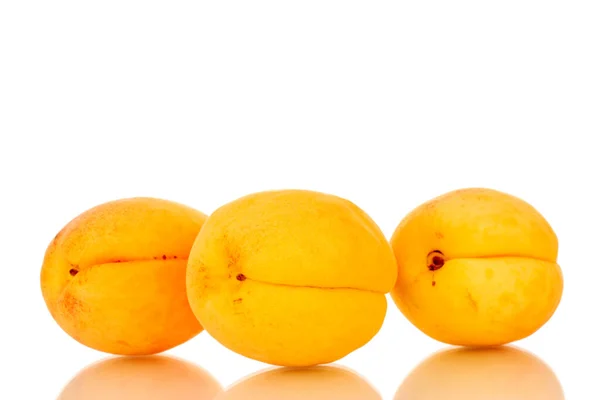 Drei Reife Süße Aprikosen Makro Isoliert Auf Weißem Hintergrund — Stockfoto