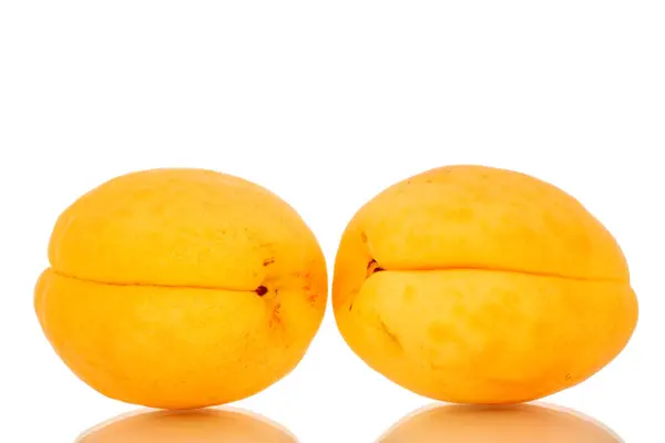 Two Ripe Sweet Apricots Macro Isolated White Background — Stock Photo, Image
