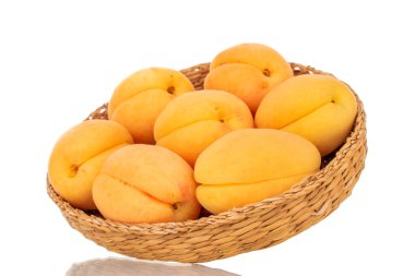 Saman tabaktaki birkaç organik sarı kayısı, makro, beyaz arka planda izole edilmiş..